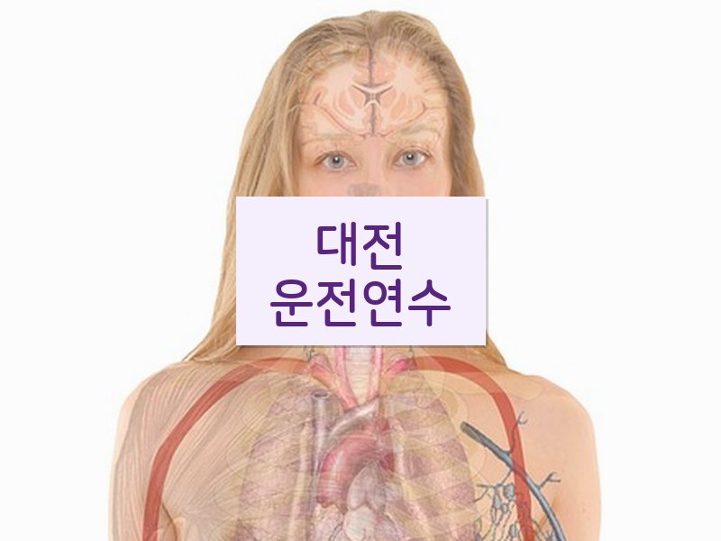 대전운전연수 후기