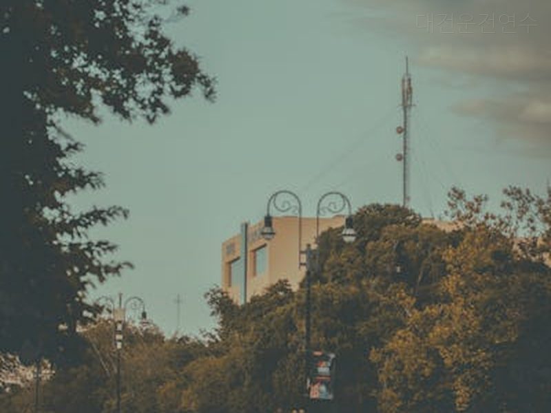 대전운전연수 후기