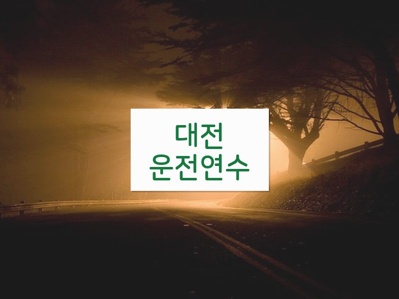 대전운전연수 후기