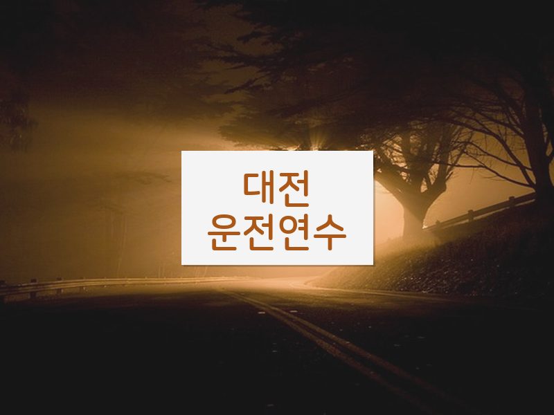 대전운전연수 후기