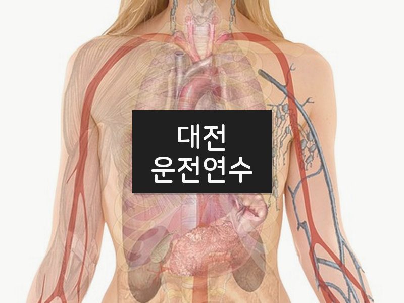 대전운전연수 후기