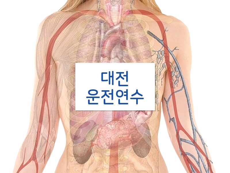 대전운전연수 후기
