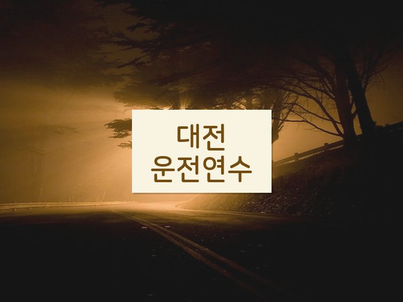 대전운전연수 후기
