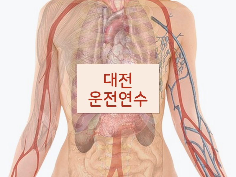 대전운전연수 후기