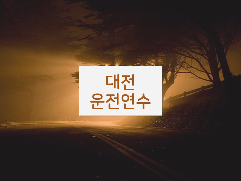 대전운전연수 후기