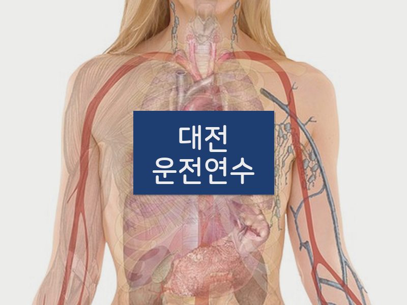 대전운전연수 후기