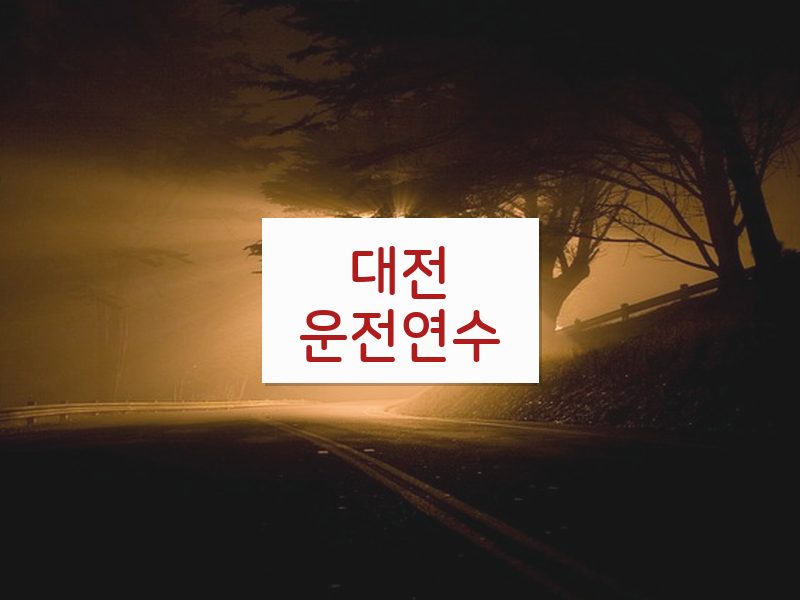 대전운전연수 후기