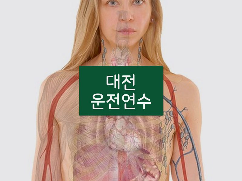 대전운전연수 후기