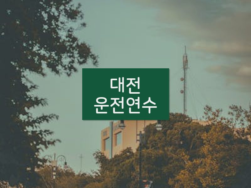 대전운전연수 후기