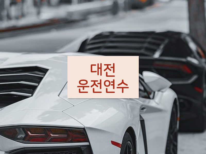 대전운전연수 후기