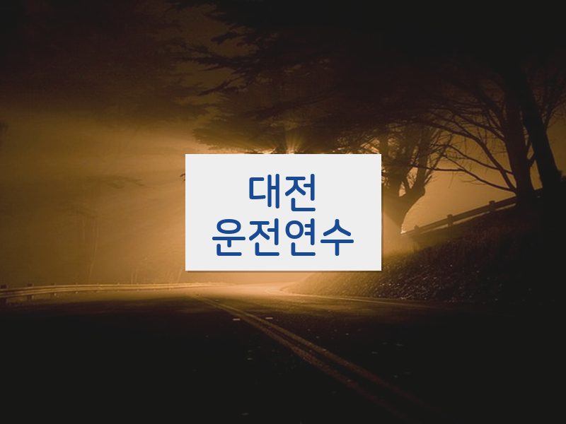 대전운전연수 후기