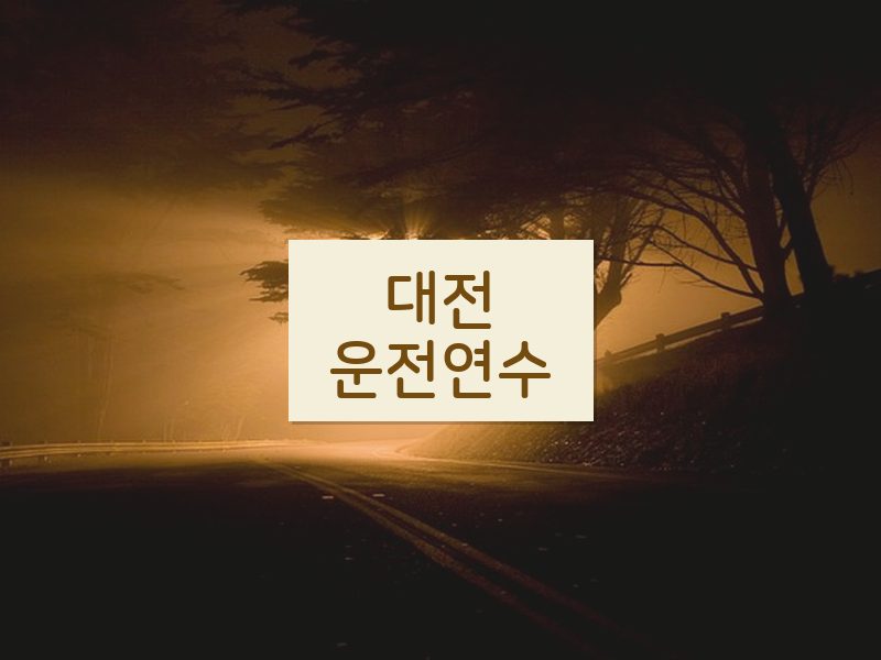 대전운전연수 후기