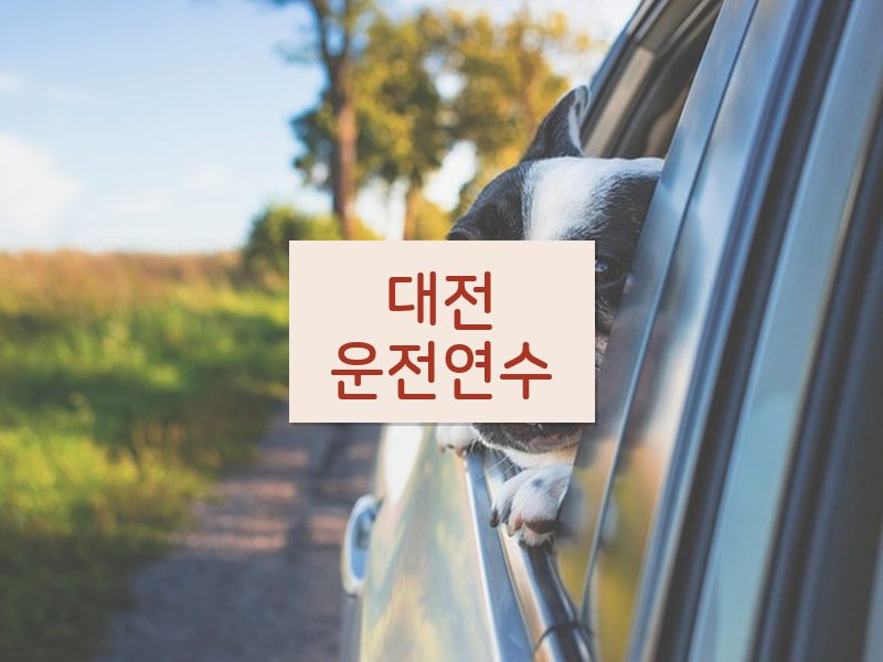 대전운전연수 후기