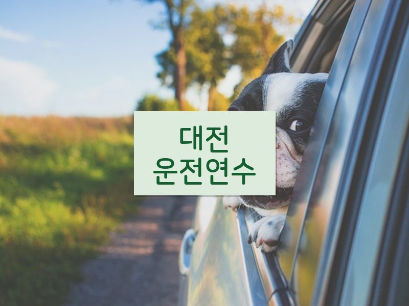 대전운전연수 후기