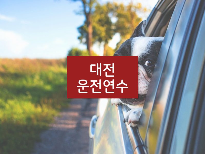대전운전연수 후기