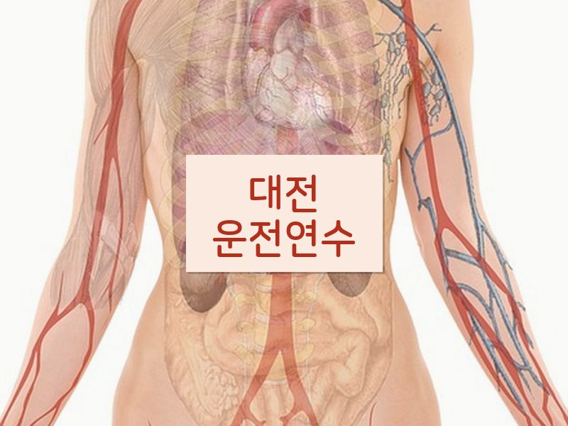 대전운전연수 후기