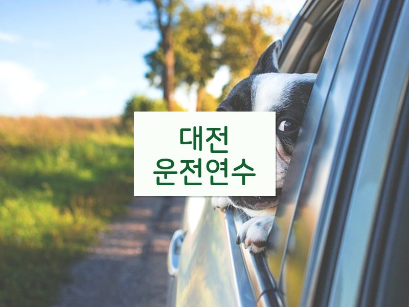 대전운전연수 후기