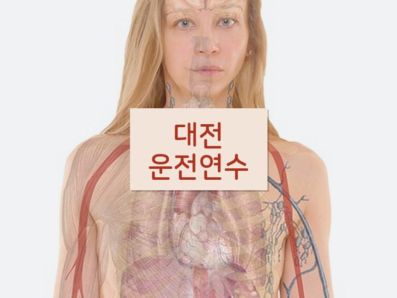 대전운전연수 후기