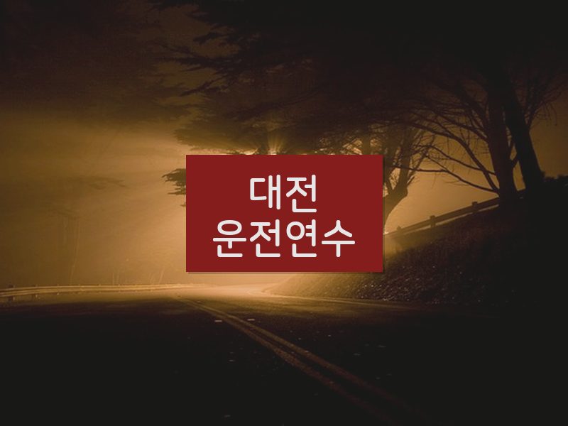 대전운전연수 후기