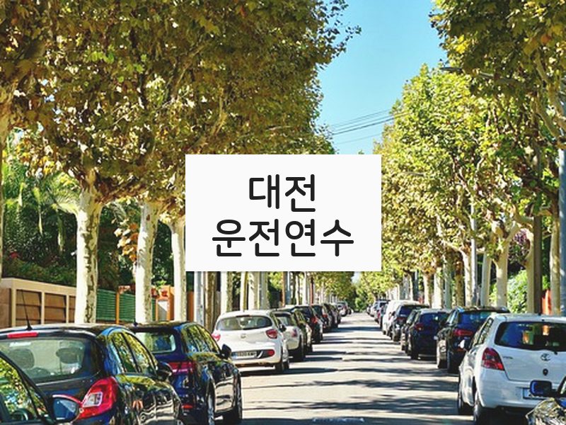 대전운전연수 후기