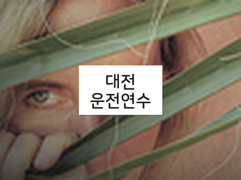 대전운전연수 후기