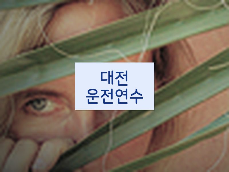 대전운전연수 후기