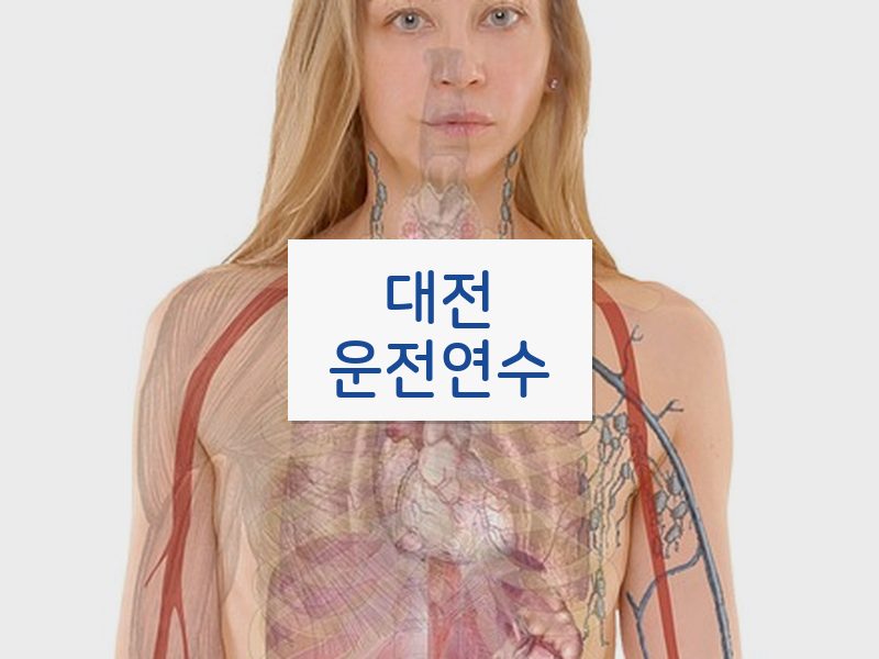 대전운전연수 후기
