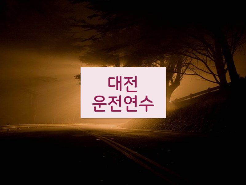 대전운전연수 후기