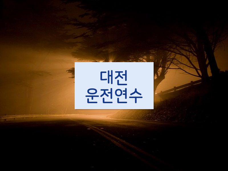 대전운전연수 후기