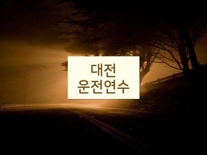 대전운전연수 후기