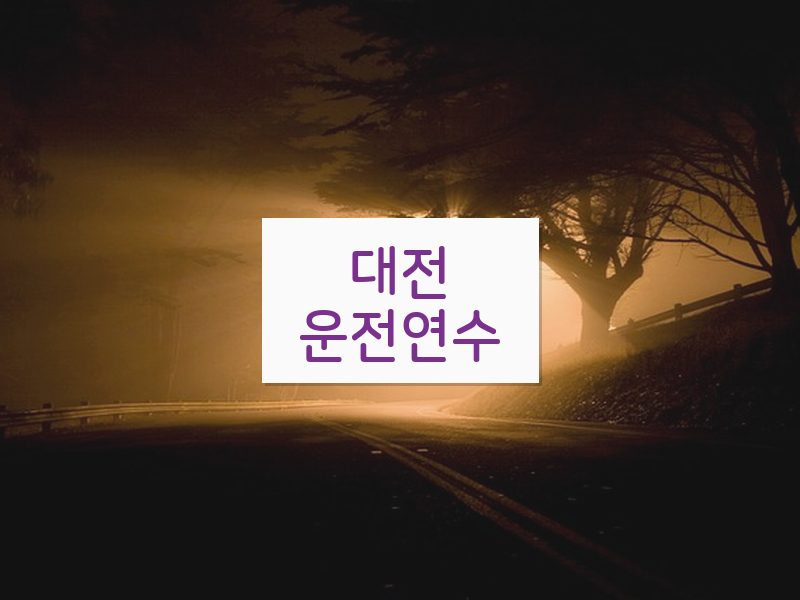 대전운전연수 후기
