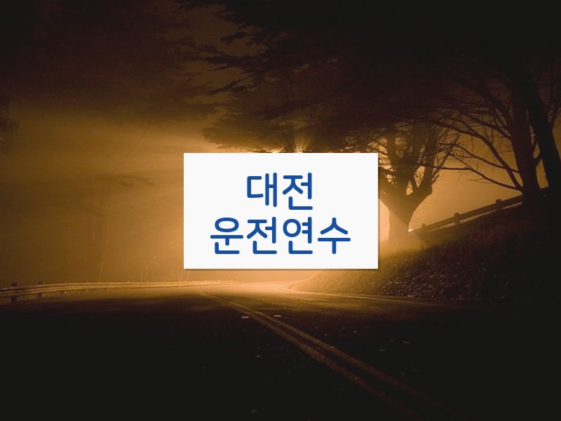 대전운전연수 후기