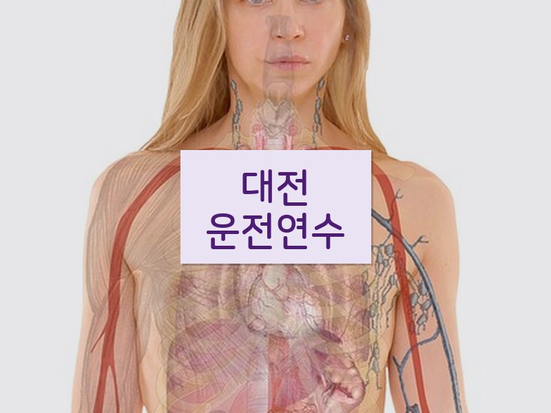 대전운전연수 후기