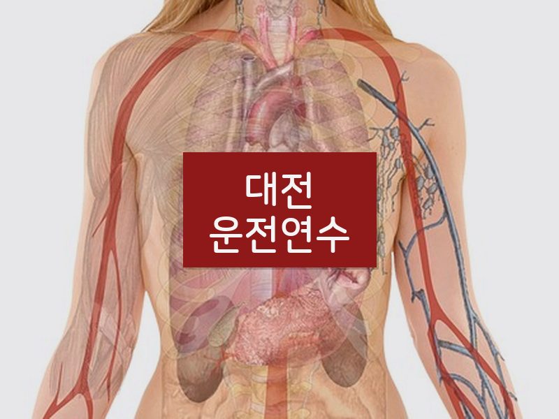 대전운전연수 후기