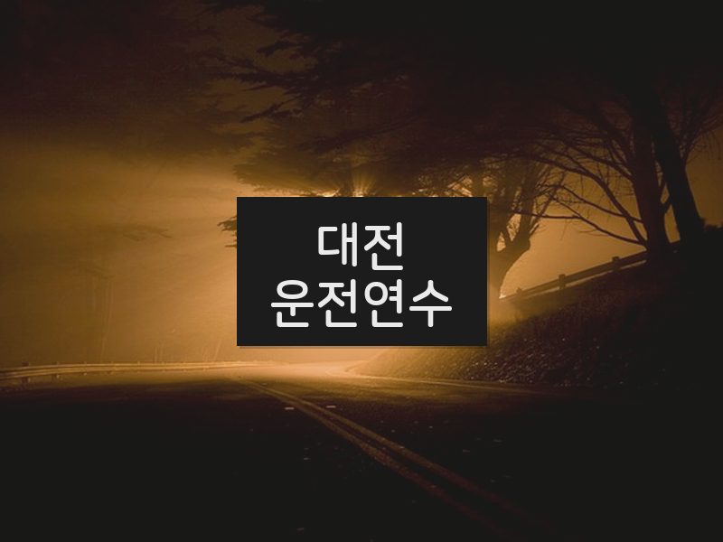 대전운전연수 후기