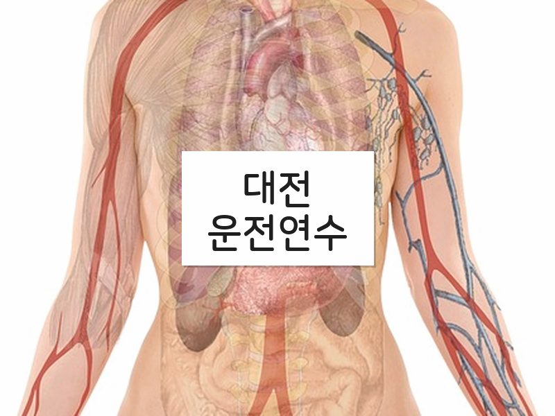 대전운전연수 후기