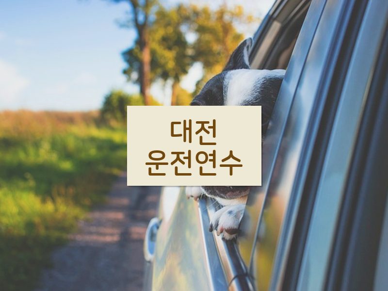 대전운전연수 후기