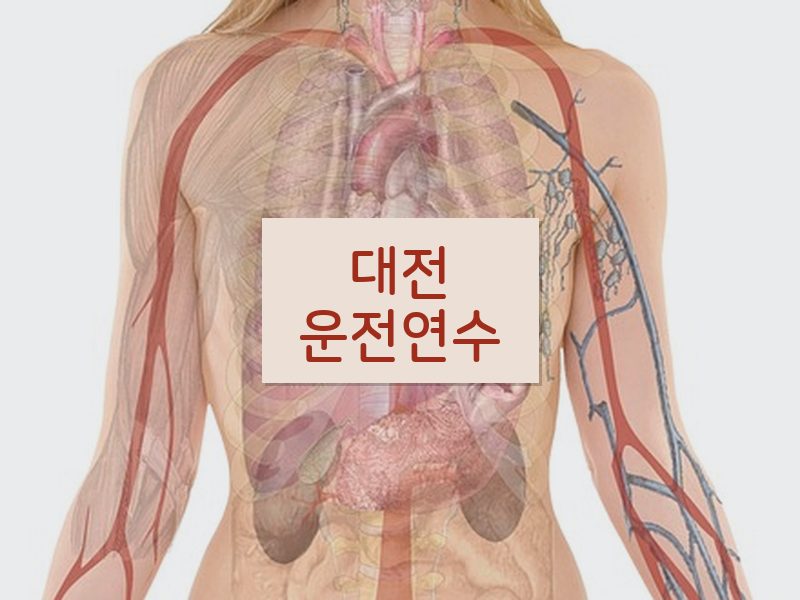 대전운전연수 후기