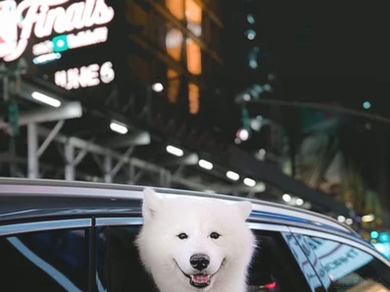 대전운전연수 후기