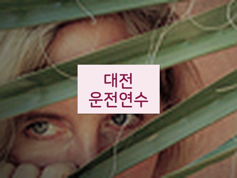 대전운전연수 후기