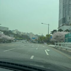 대전에서 첫 도로 운전