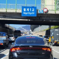 새 직장 때문에 운전을 시작했어요