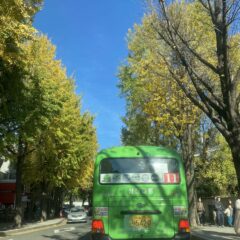 대전운전연수 10시간 수강 솔직 리뷰