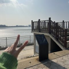 안산운전연수 받고 혼자 운전 시작했어요