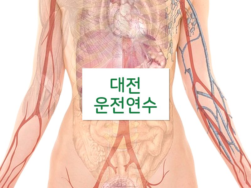 대전운전연수 후기