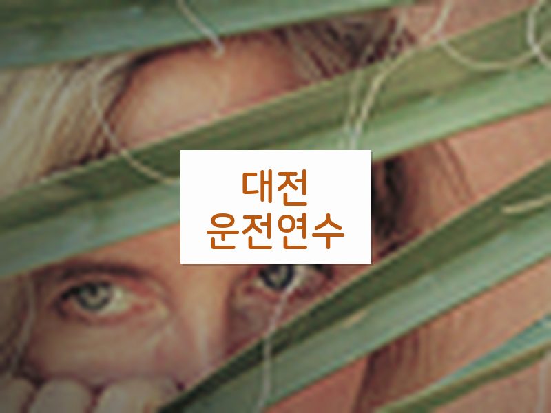 대전운전연수 후기