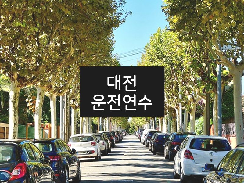 대전운전연수 후기
