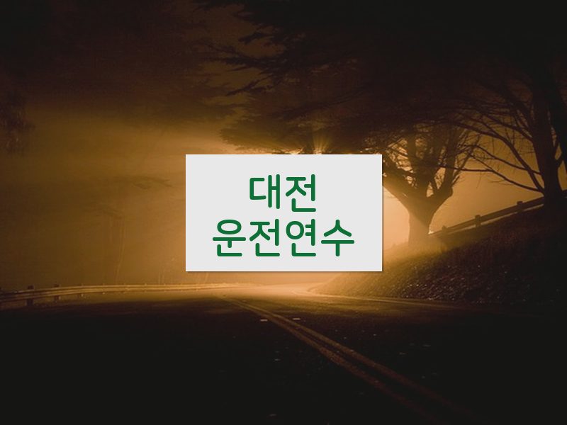 대전운전연수 후기