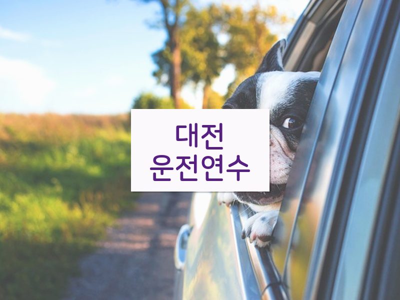 대전운전연수 후기